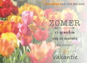Zomerkaart Tulp 2018 1