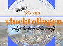 slechts 3